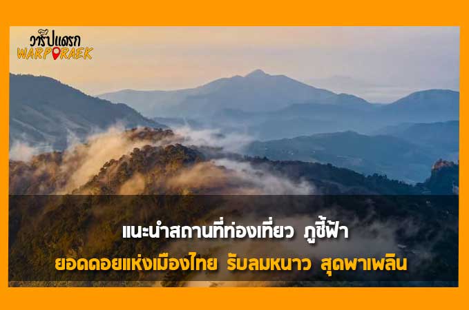 แนะนำสถานที่ท่องเที่ยว ภูชี้ฟ้า ยอดดอยแห่งเมืองไทย รับลมหนาว สุดพาเพลิน