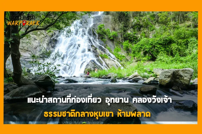 แนะนำสถานที่ท่องเที่ยว อุทยาน คลองวังเจ้า  ธรรมชาติกลางหุบเขา ห้ามพลาด