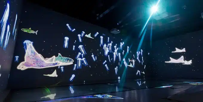 ทางเดิน Shark Walk ชมฉลามใกล้ชิด