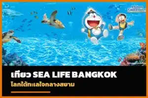ปก SEA LIFE Bangkok Ocean World