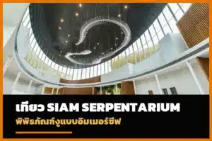 ภาพปก Siam Serpentarium